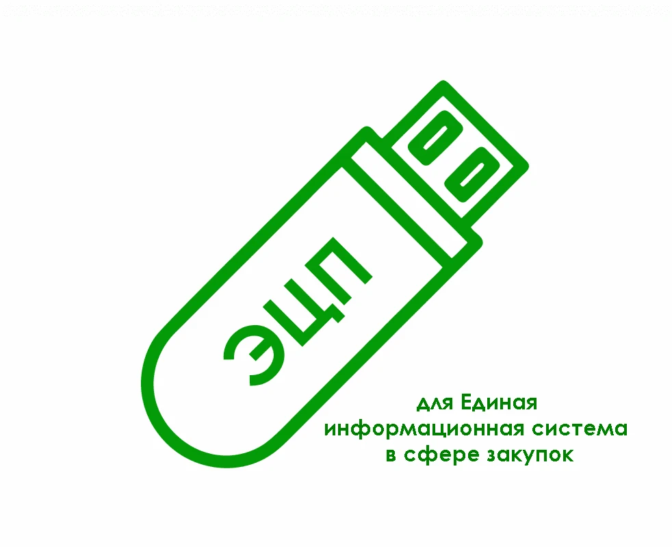 картинка Электронная подпись для Единая информационная система в сфере закупок (zakupki.gov.ru) от магазина ККМ.ЦЕНТР