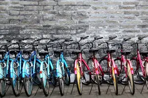 В России с сентября начнется обязательная маркировка велосипедов